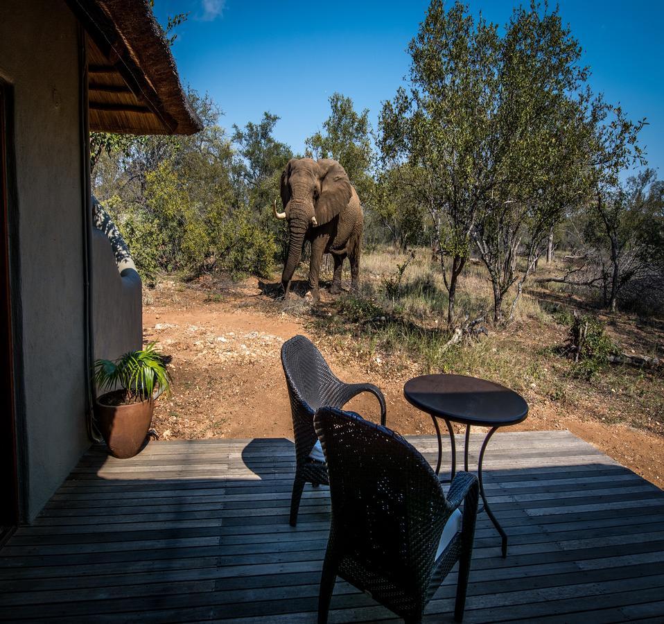 Garonga Safari Villa Makalali Game Reserve Exterior photo